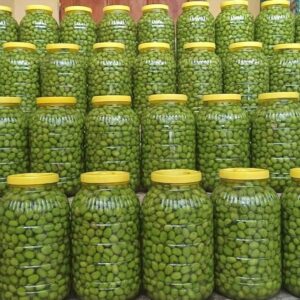 3+3+3+3 ZEYTİN KAMPANYASI (ÜCRETSİZ KARGO)